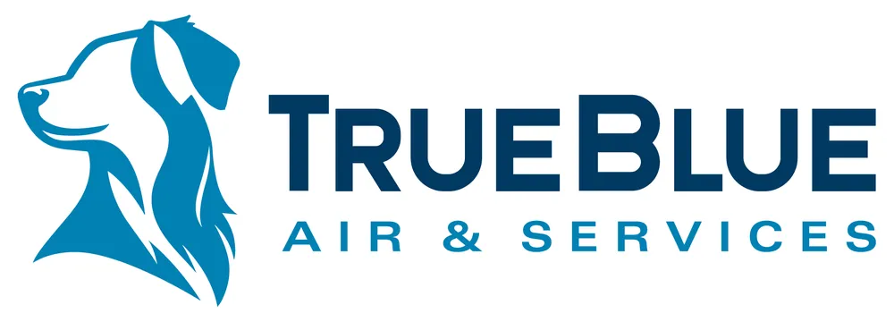 Slide of TrueBlue Air & Services