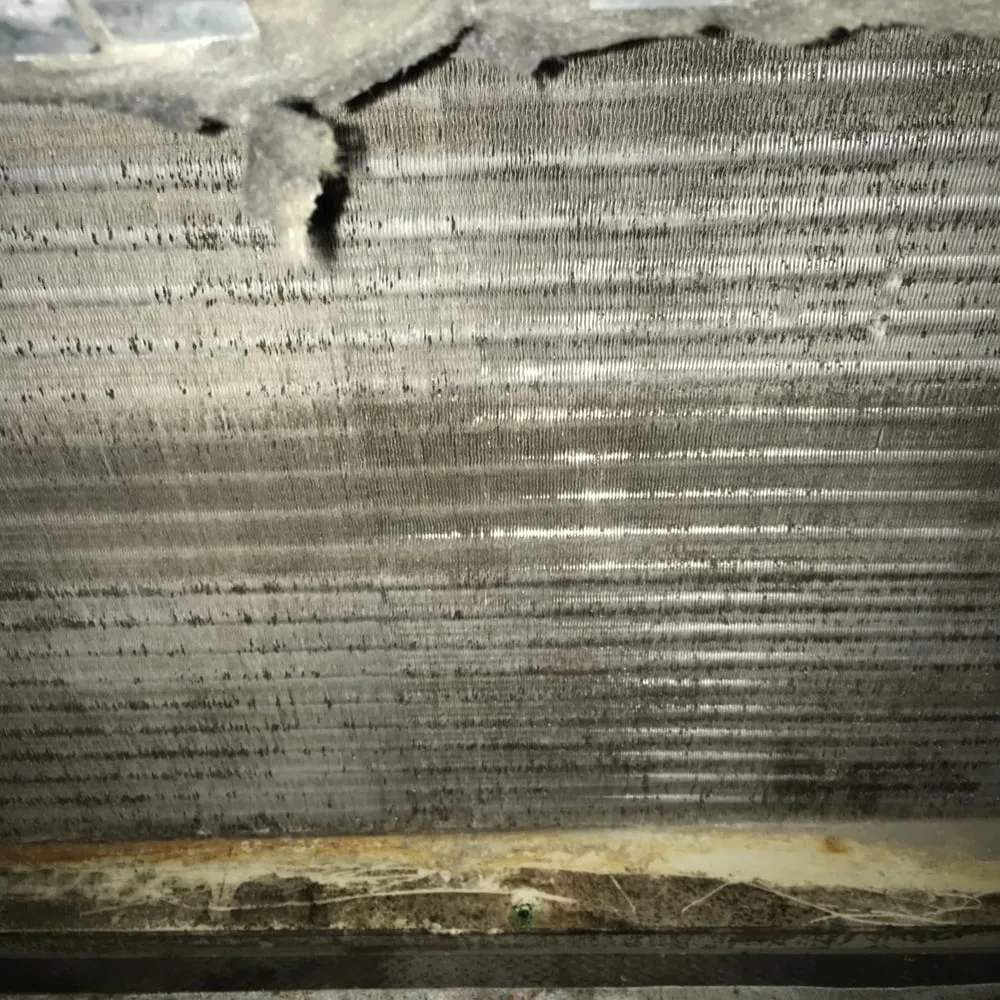 Slide of Truetech Services