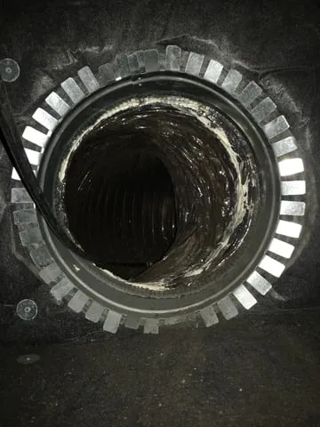 Slide of Truetech Services