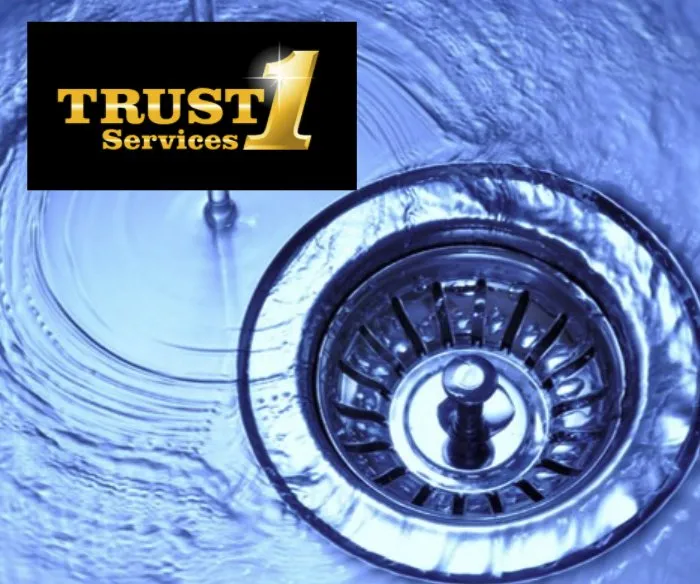 Slide of Trust 1 Services