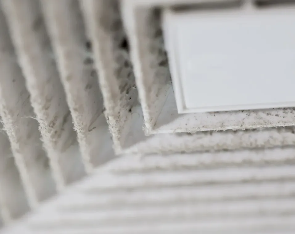 Slide of TSA Heating