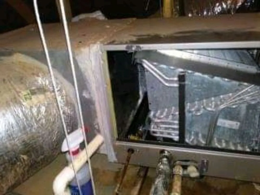 Slide of TSM Home Services