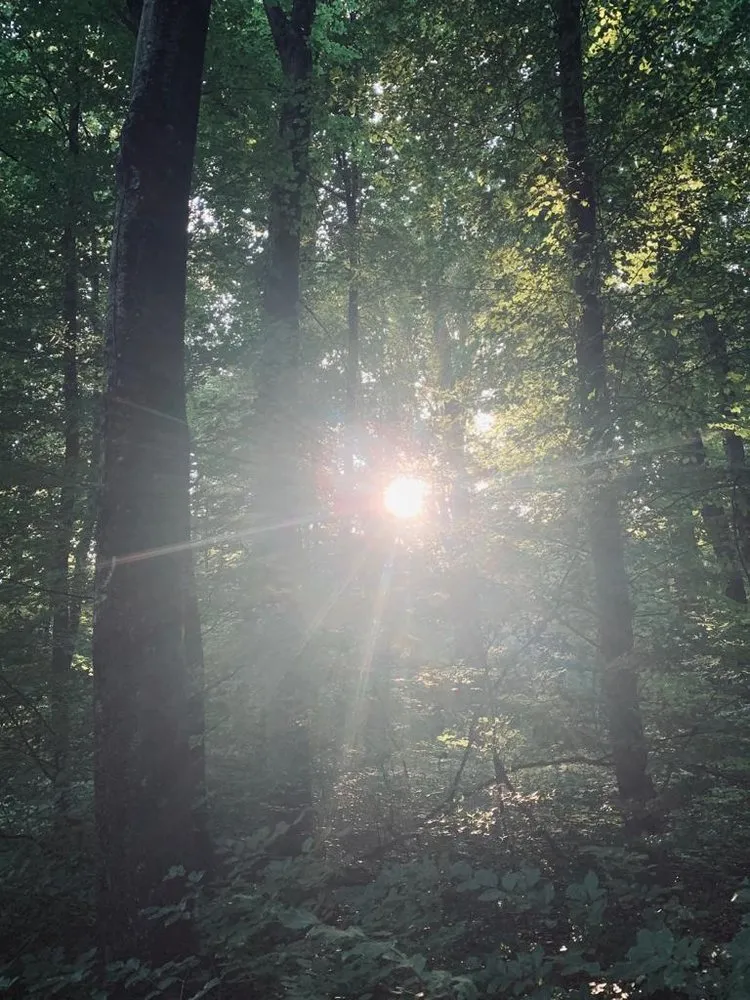 Slide of Tucson Climate Change