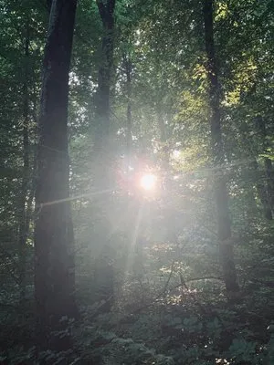 Tucson Climate Change Logo