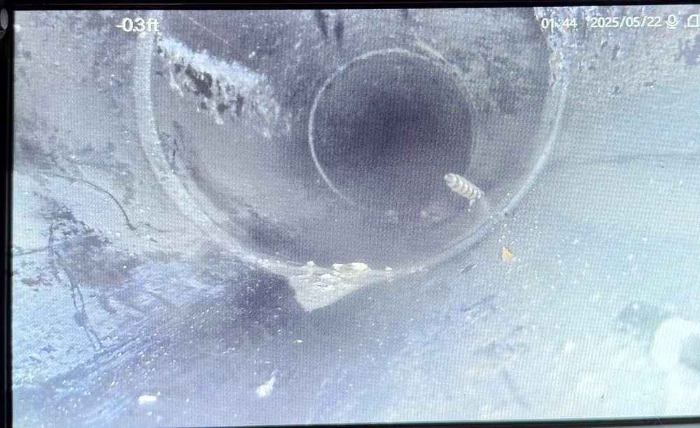 Slide of Tucson Plumbing