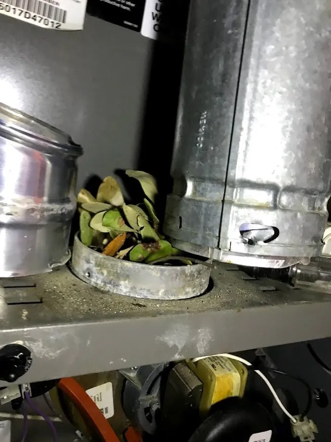 Slide of Tuffpaw Air