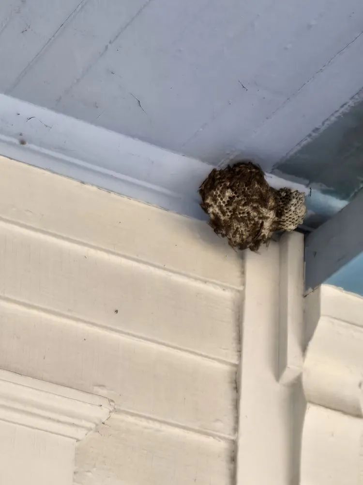 Slide of Turnkey Maintenance Solutions