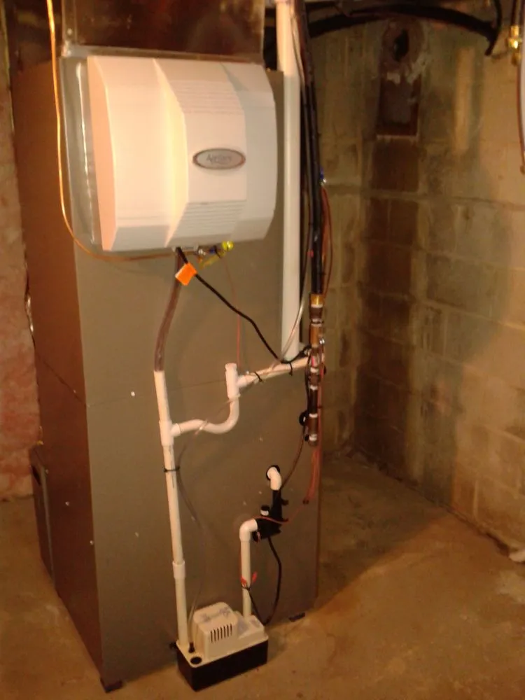 Slide of Turtle Tech