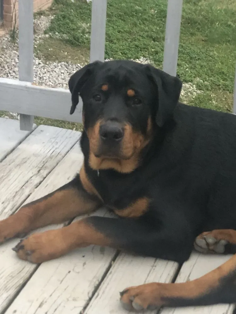 Slide of Two Amigos Plumbing & HVAC