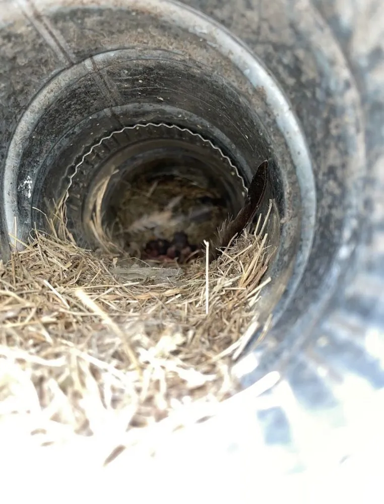 Slide of TYH Air Duct Cleaning