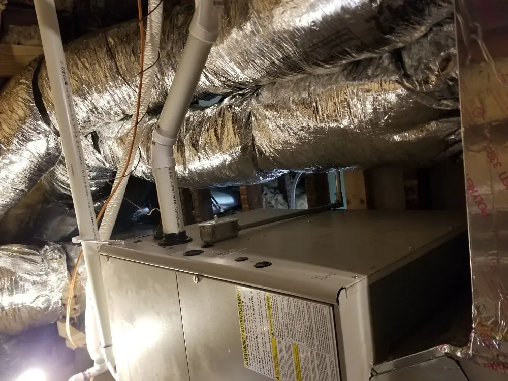 Slide of Ty's Mechanical