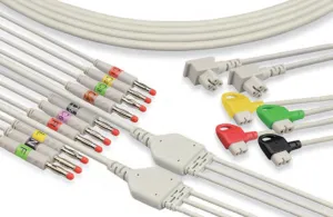 Slide of Ultimate Biomedical Solutions