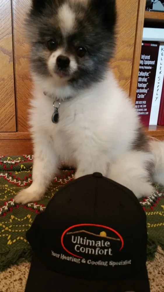 Slide of Ultimate Comfort