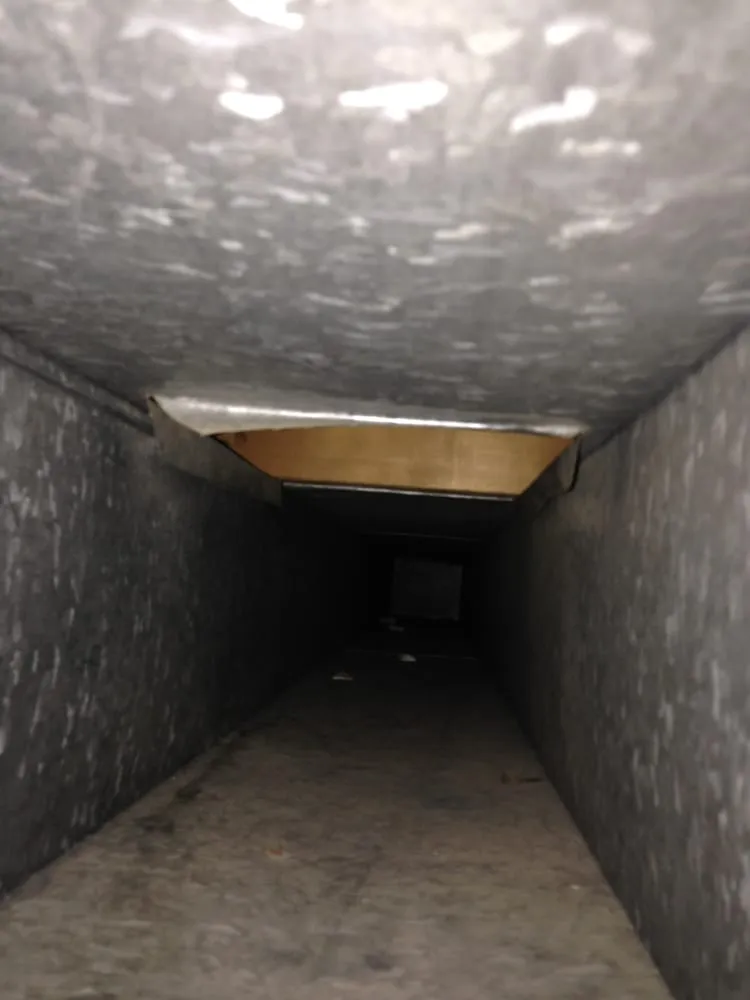 Slide of Ultimate Kleen