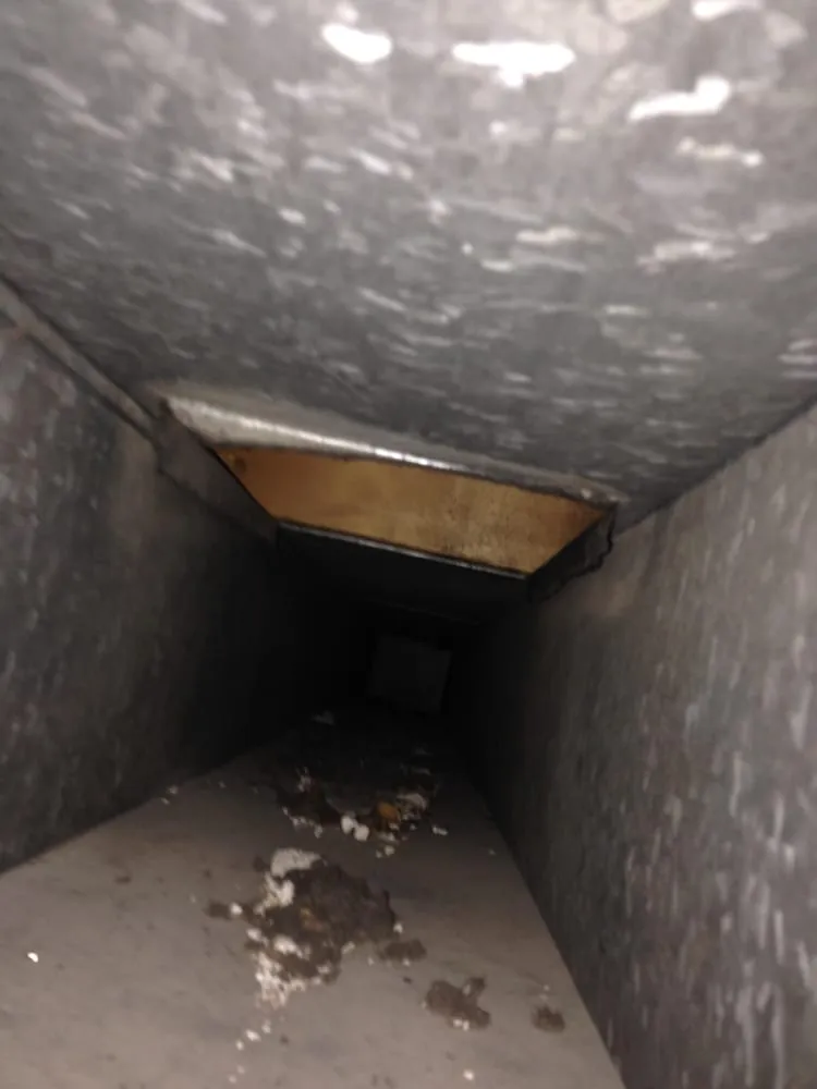 Slide of Ultimate Kleen