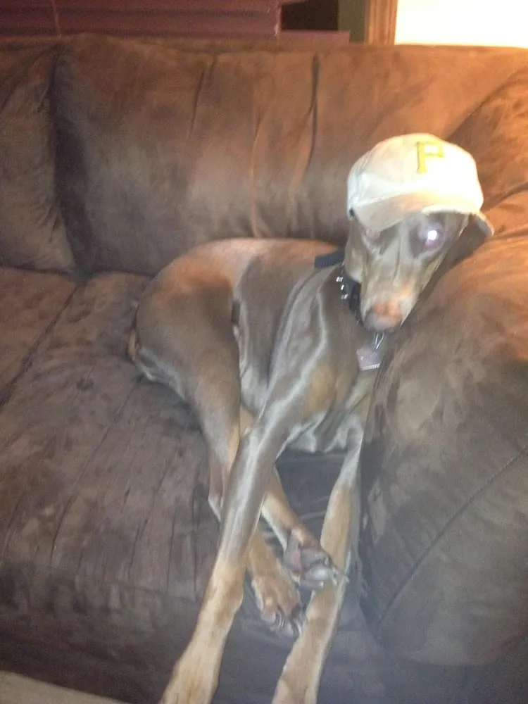 Slide of Ultimate Kleen