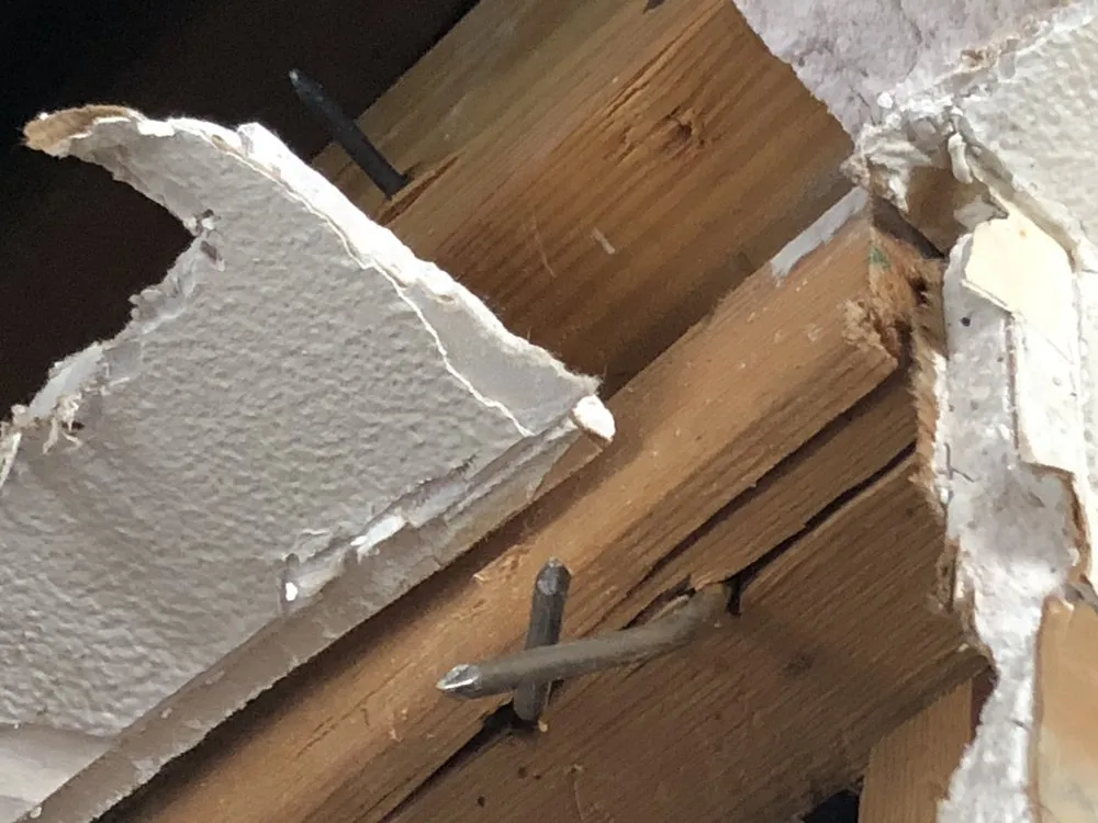 Slide of Unique Services