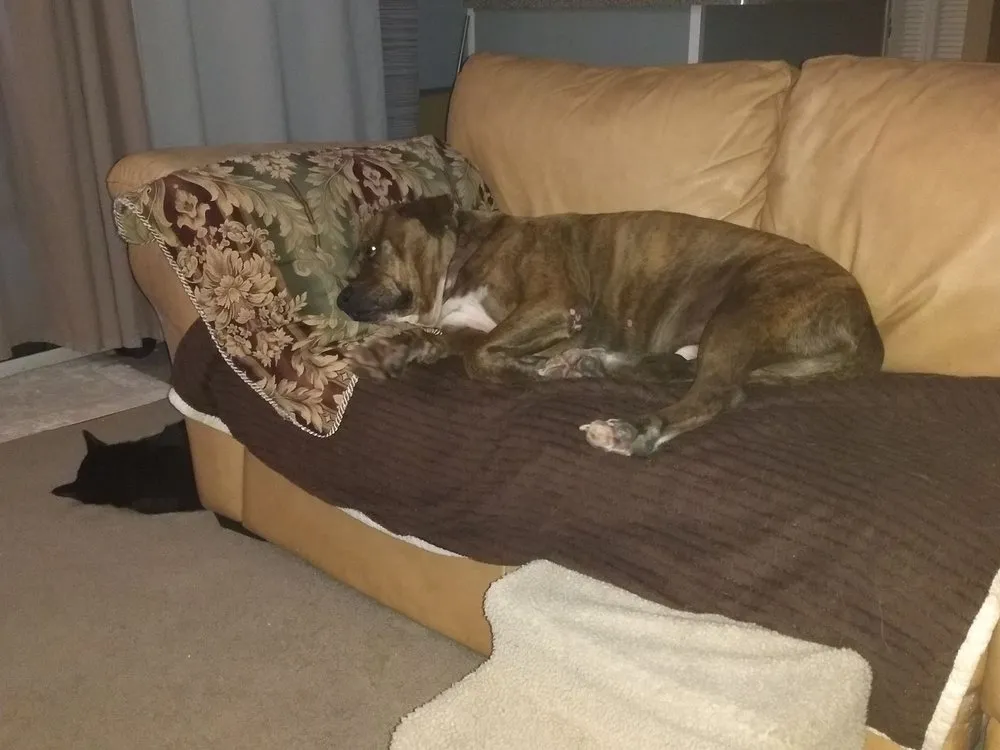 Slide of Universal Heating & Air Conditioning