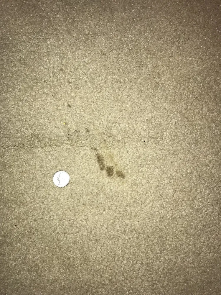 Slide of US Plumbing Heating & Air Conditioning