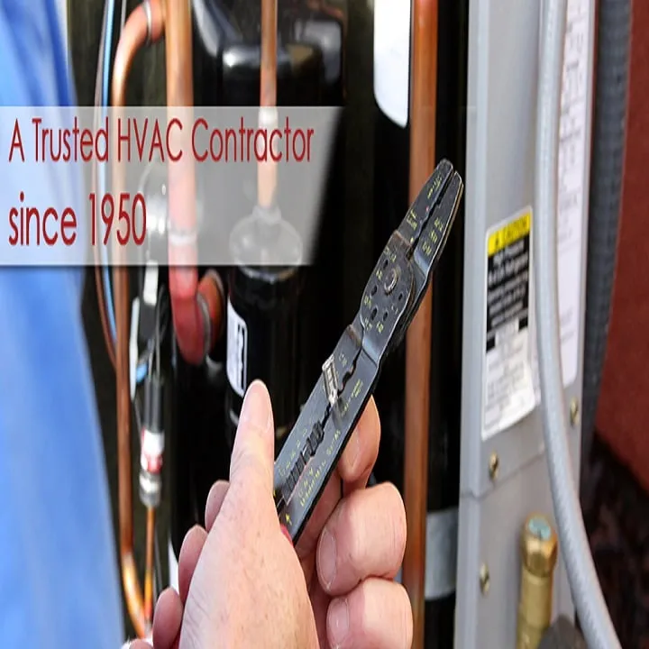 Slide of V C Fanfarillo