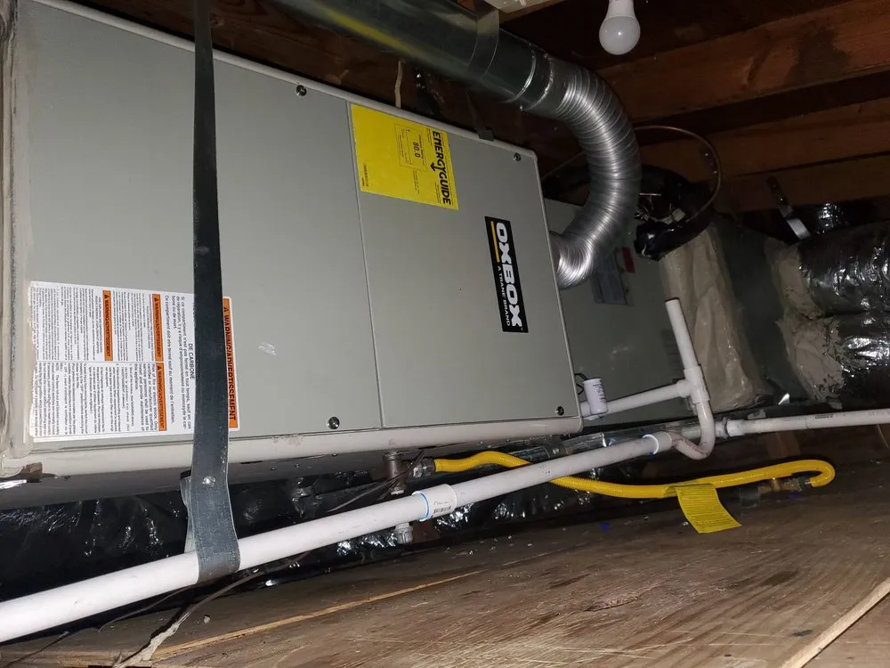 Slide of Vaccinated Air