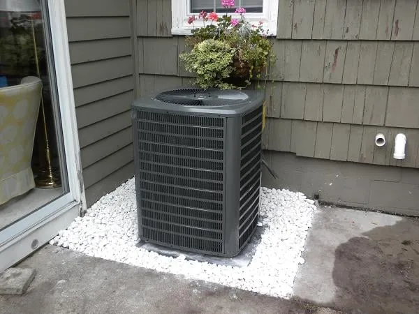 Slide of Van Antwerp's Mechanical