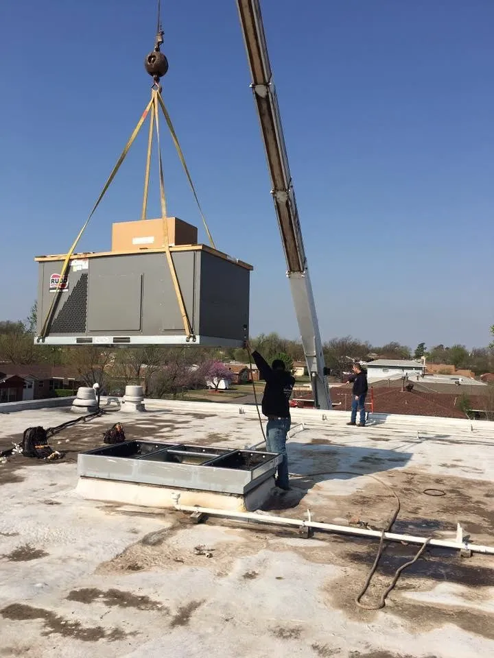 Slide of Van Dyck Mechanical