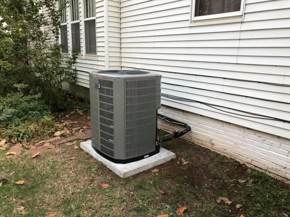 Slide of Van Dyck Mechanical