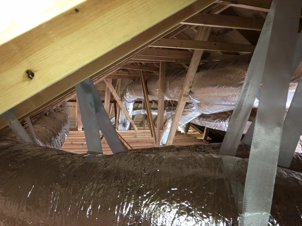 Slide of Van Dyck Mechanical