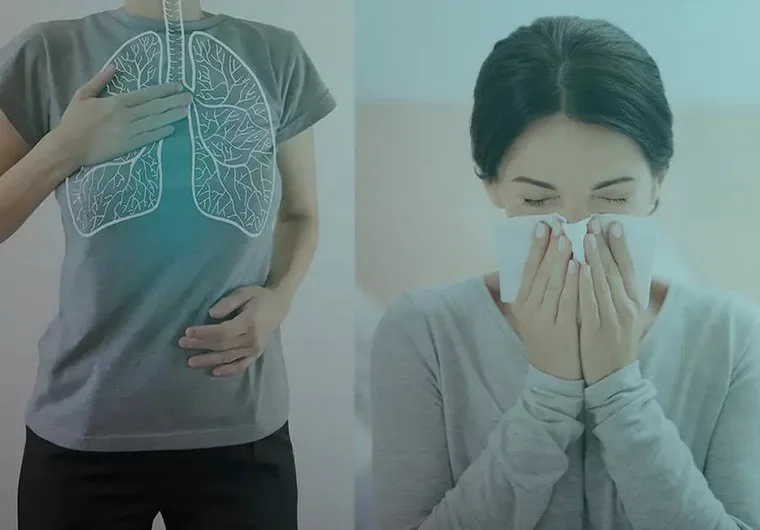 Slide of Velvet Air Duct Cleaning