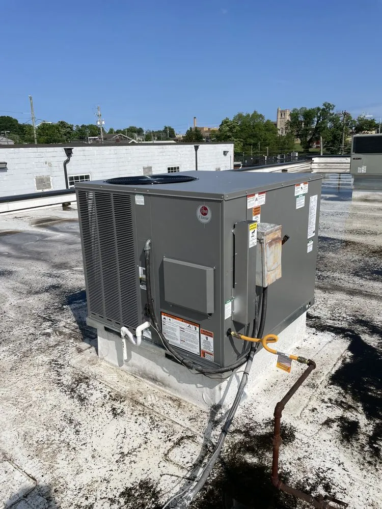 Slide of Veracity Services