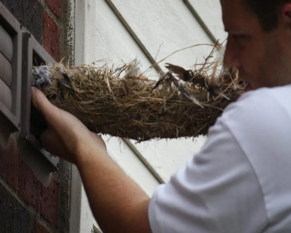 Slide of Vern Air System and Vent Cleaning