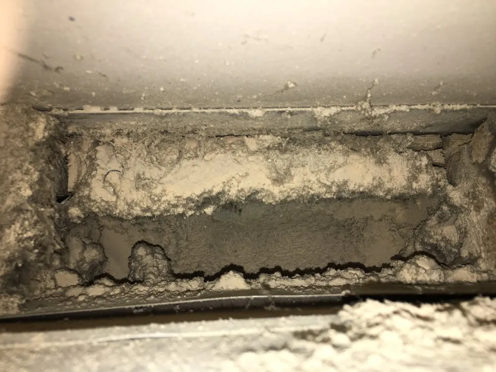 Slide of Vesta Cleaning