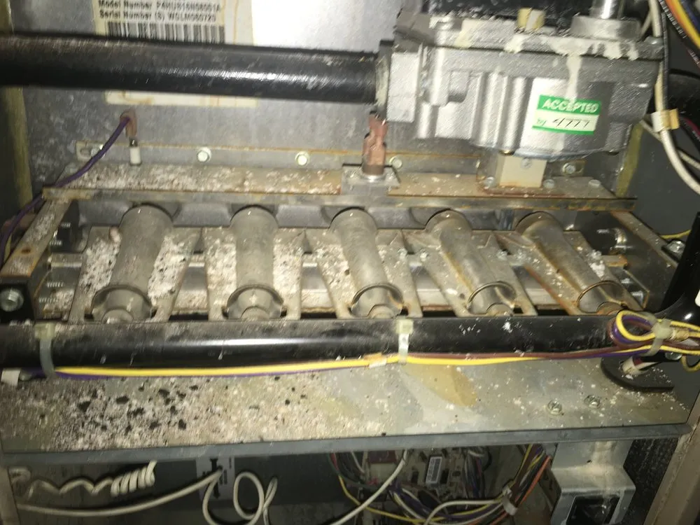 Slide of Vesta Cleaning