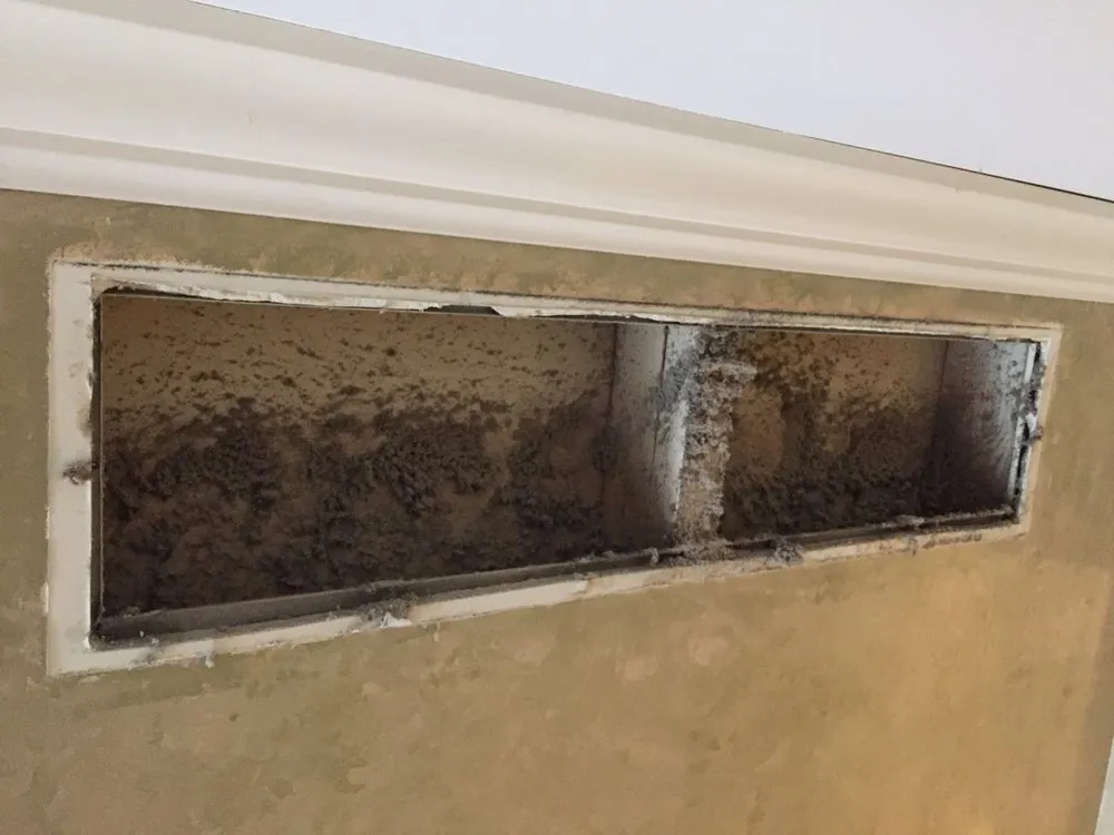 Slide of Vesta Cleaning