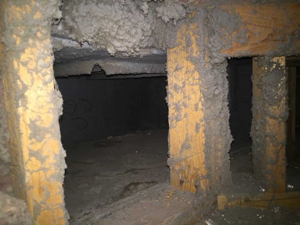 Slide of Vesta Cleaning