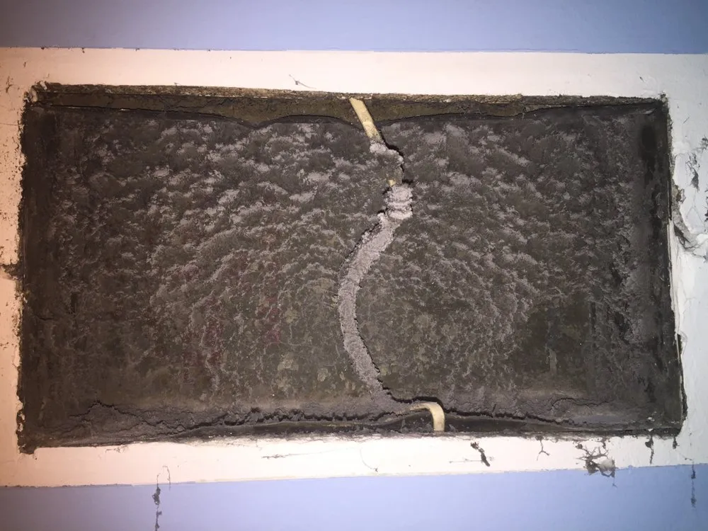 Slide of Vesta Cleaning