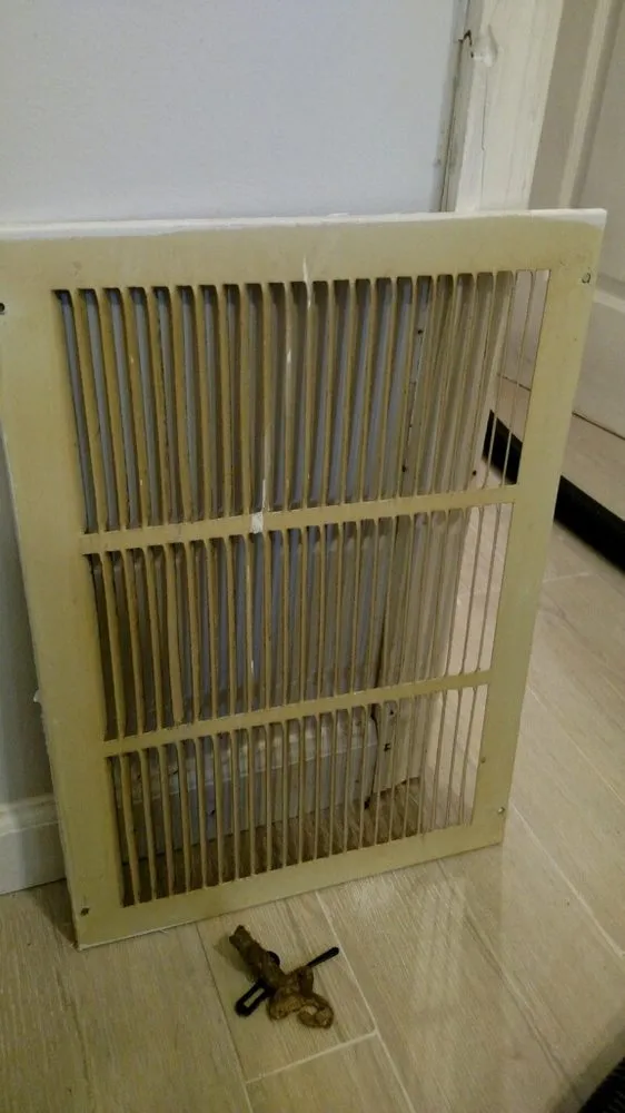 Slide of Vesta Cleaning