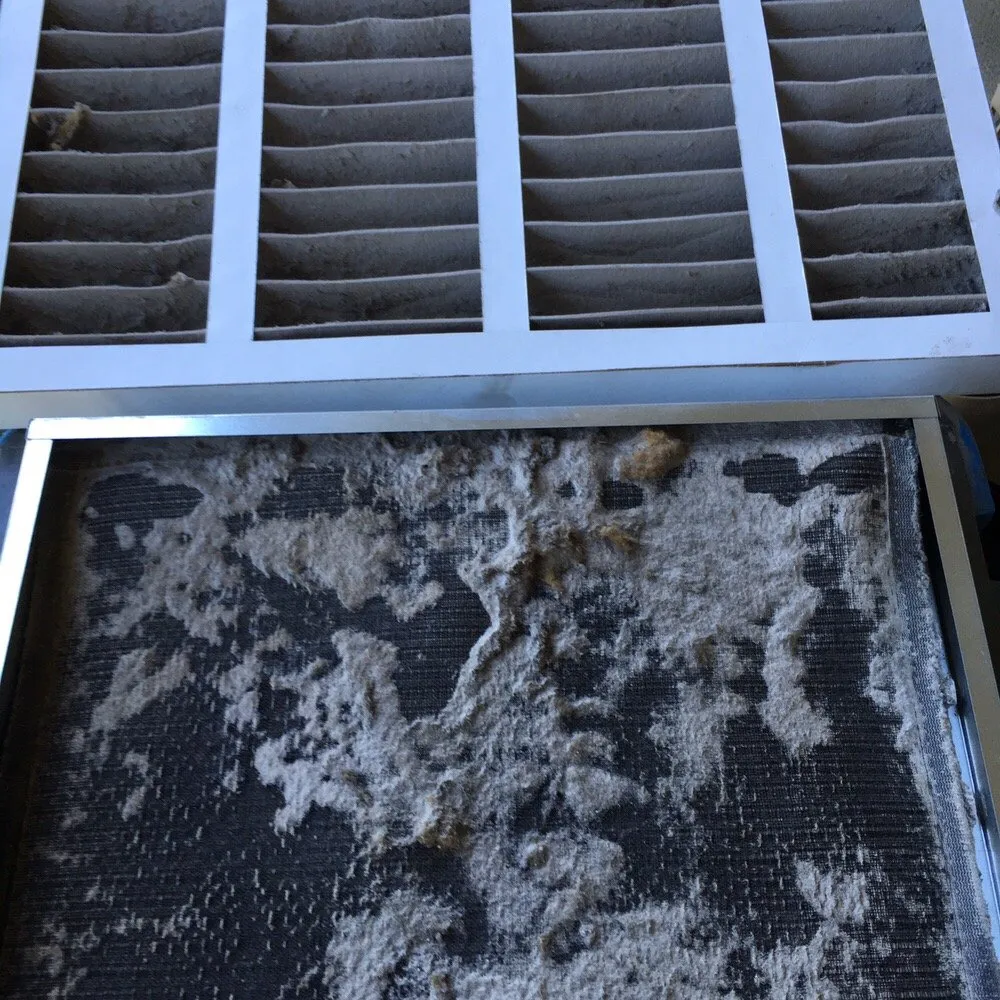 Slide of Vesta Cleaning