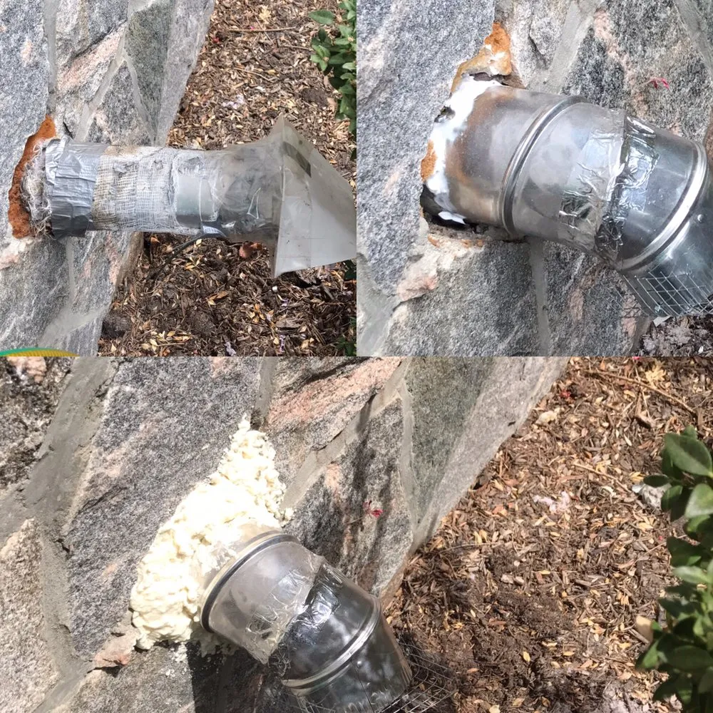 Slide of Vesta Cleaning