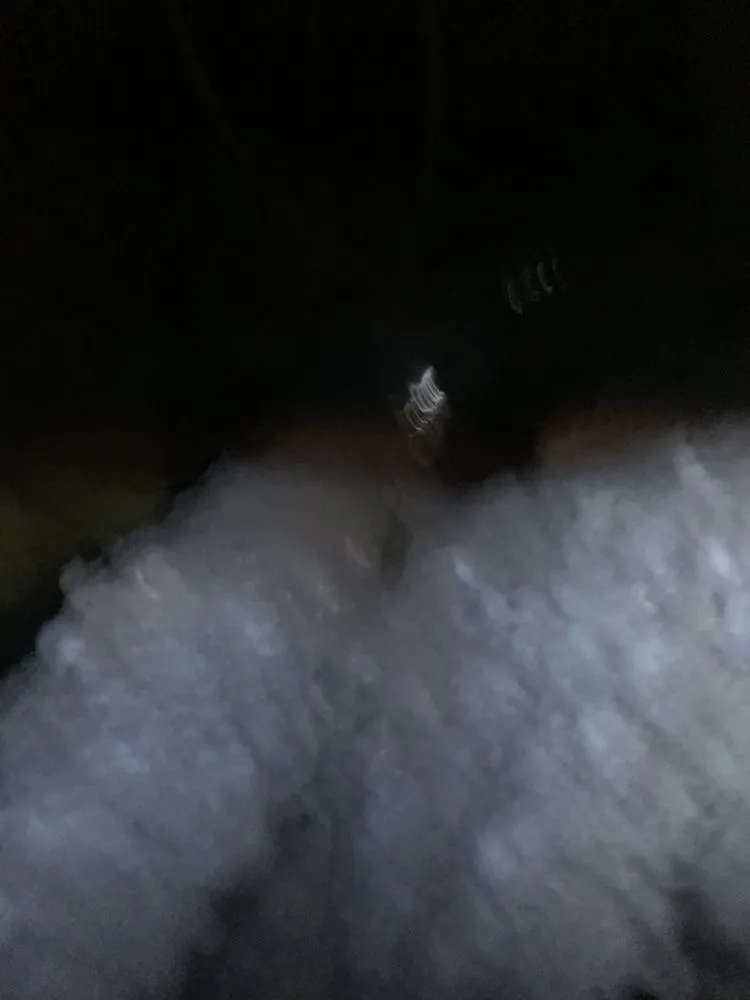 Slide of Vesta Cleaning