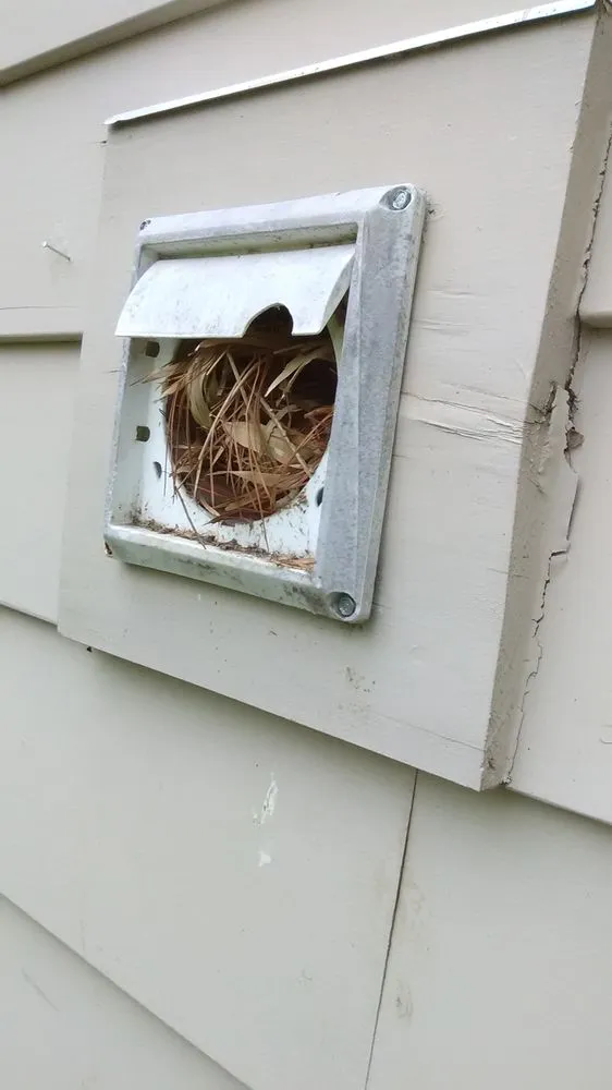 Slide of Vesta Cleaning