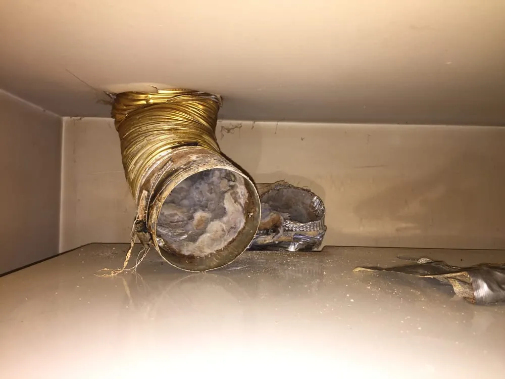 Slide of Vesta Cleaning