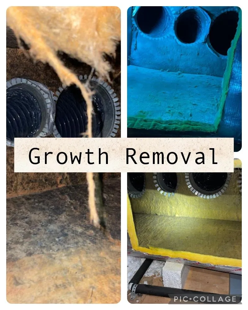 Slide of Veteran Pride