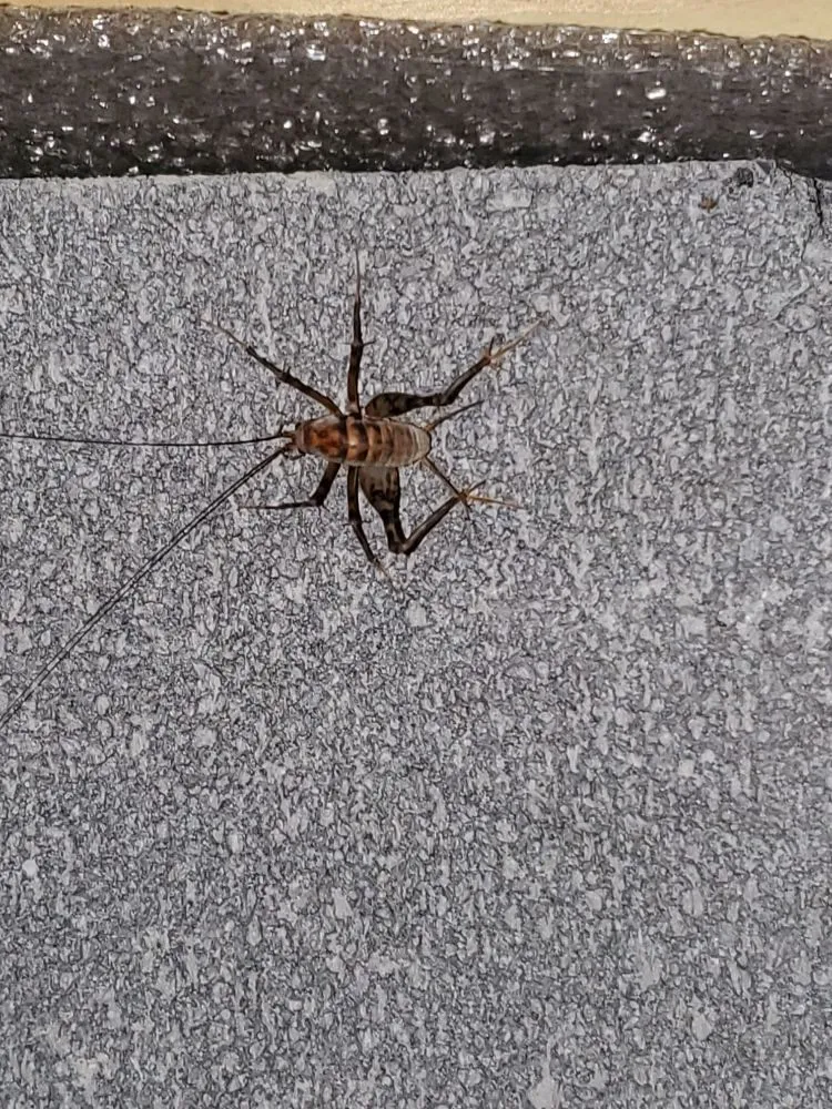 Slide of Veterans Heating and Air