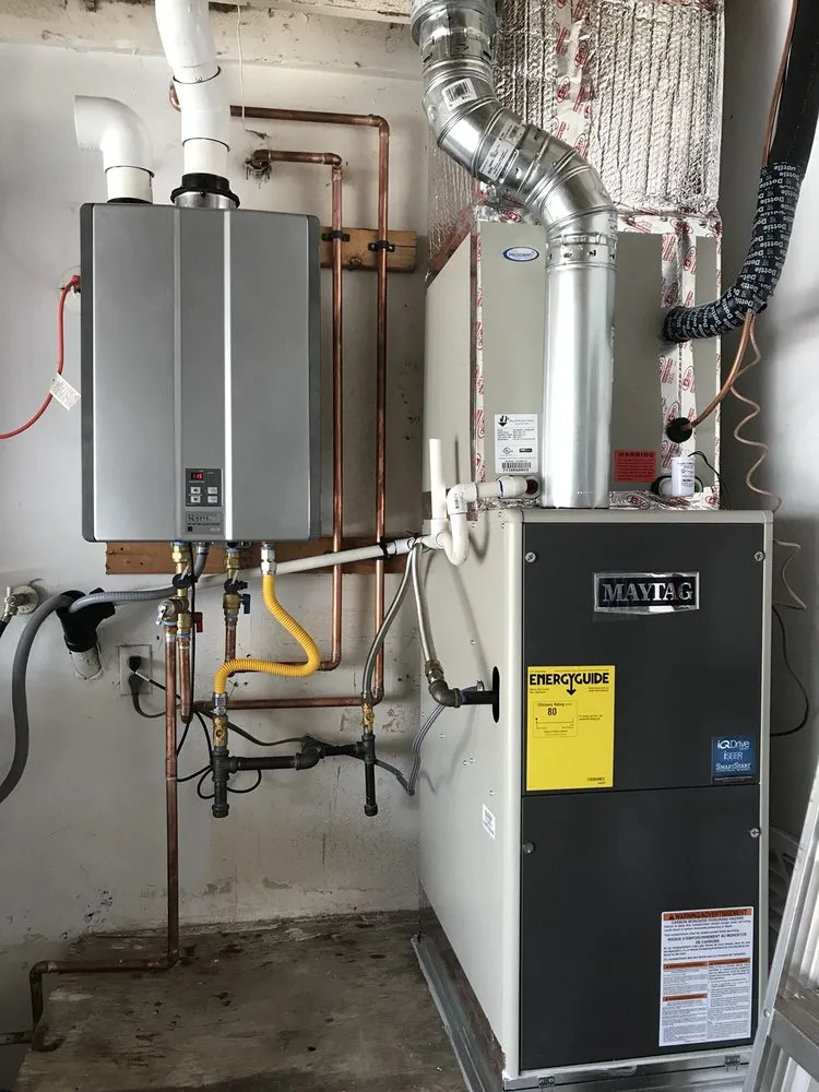 Slide of Vets For You