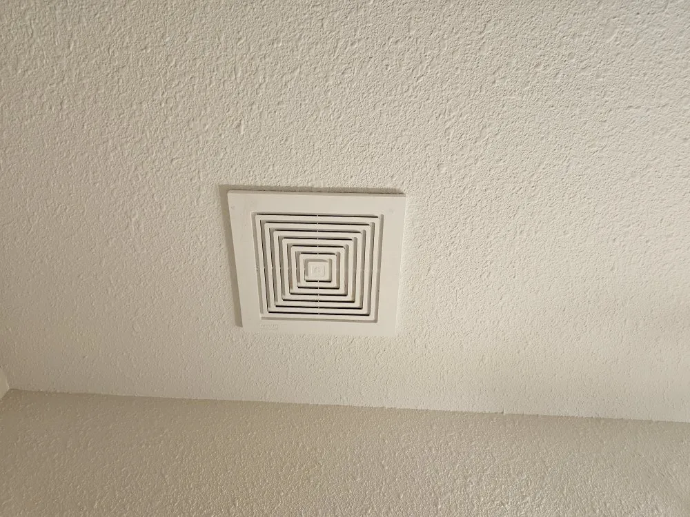 Slide of Vibrant Mechanical