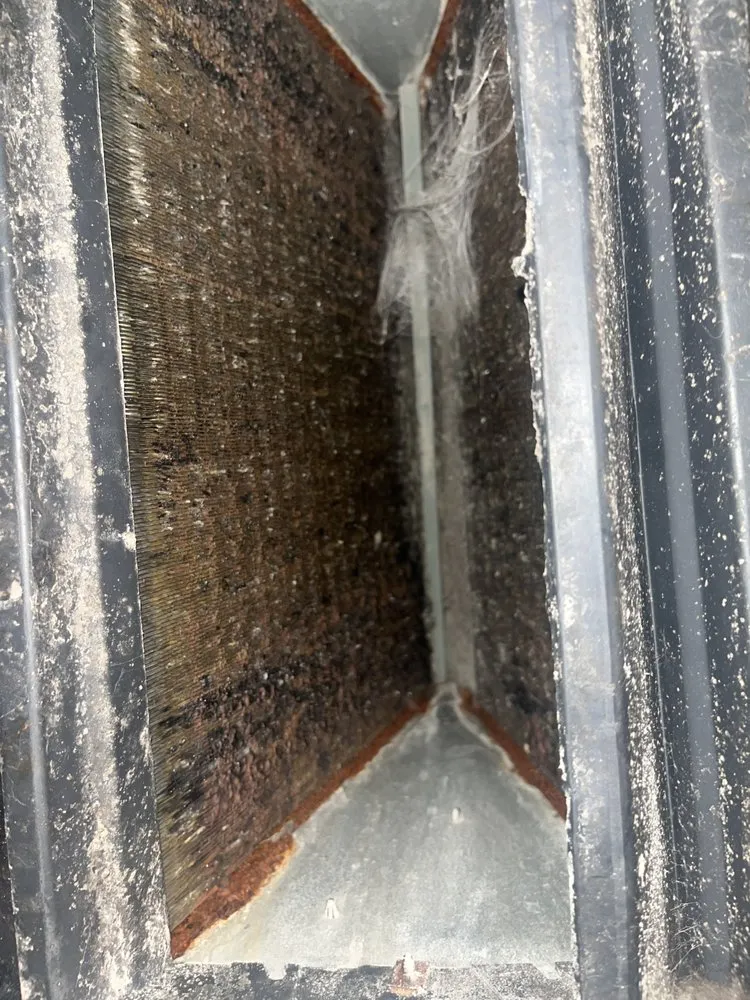 Slide of Vice City Cooling