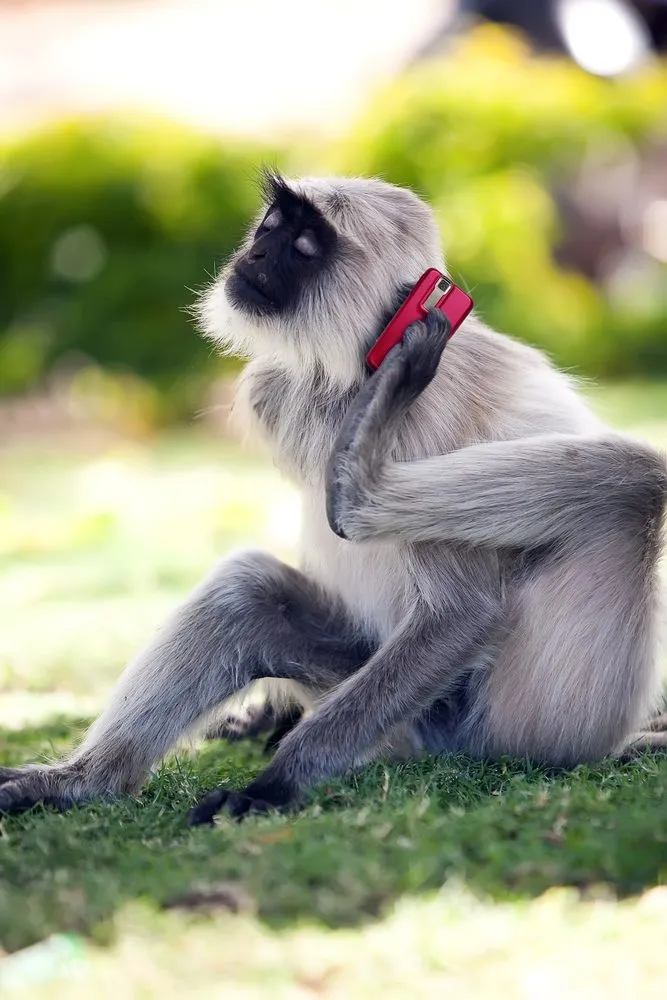 Slide of Viking Mechanical Services