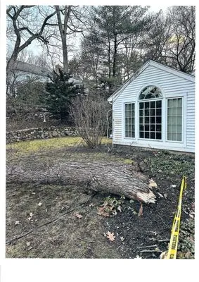 Village Home Services